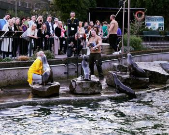 Abb. Warum ist Networking in einem Zoo so einzigartig?