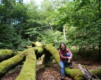 Abb. Tagen im Naturpark Knüll, Ideen entstehen draußen