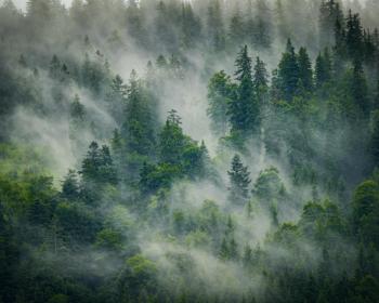 Abb. Dein nächstes Meeting ist grüner als dein Smoothie