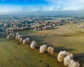 Abb. Natürliche Inspiration für zukunftsorientierte Ideen