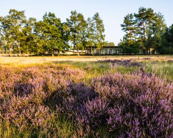 Abb. Weite Räume für große Gedanken