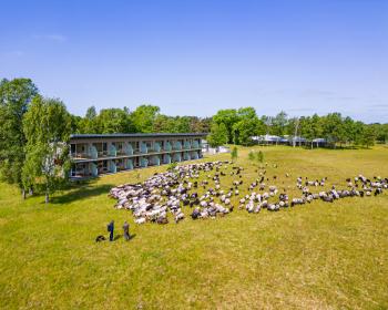 Abb. Von der Natur inspiriert: 25 Jahre HOTELCAMP REINSEHLEN