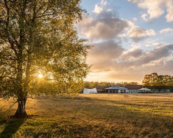 Abb. Herbst als Neustart: Zeit für neue Projekte