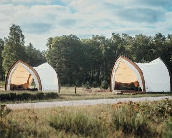 Abb. Ruhe, Inspiration und Austausch inmitten der Natur