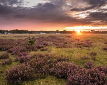 Abb. Jahresauftakt und Kick-off im neuen Jahr