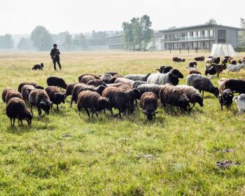 Abb. Zwischen den Zeilen entsteht der Erfolg