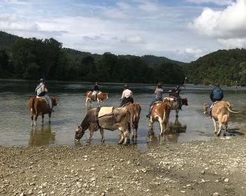 Abb. Ein unvergessliches Teamevent: Ein Ausritt der besonderen Art