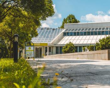 Abb. Volle Konzentration. Ganz ANDERS in Ruhe arbeiten.