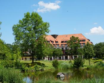 Abb. New Work einfach mal leben