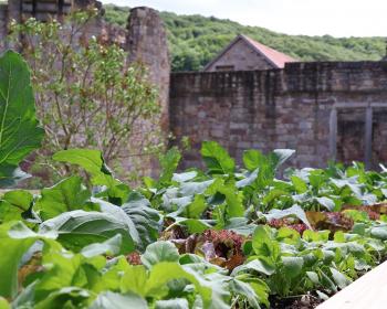 Abb. Nachhaltig. Regional. Ausgezeichnet.