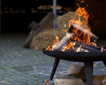 Abb. Feiert euch und den Sommer!