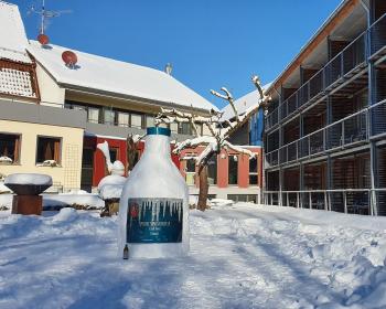 Abb. Neujahrs-Tagungsspecials: Gratis Brauereiführung