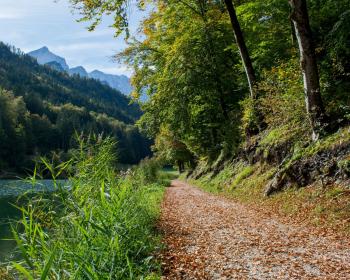 Abb. Herbstlich Tagen mit Weitblick