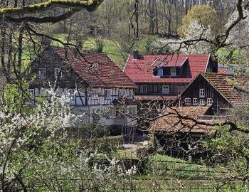 Abb. Storytelling auf dem Wiesenpfad  