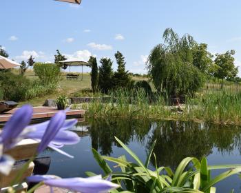 Abb. Sommermomente in der fränkischen Toskana der Haßberge
