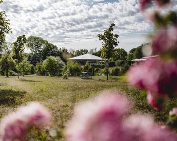 Abb. Kreativer Workflow im Grünen