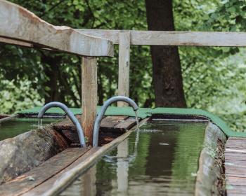 Abb. PAUSE, aber in gesund, grün und aktiv?