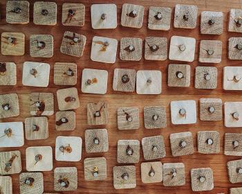 Abb. Was haben Magnete mit Nachhaltigkeit zu tun?