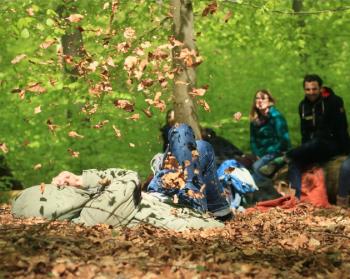 Abb. Waldführungen &amp; Team-Tage im Königsforst 