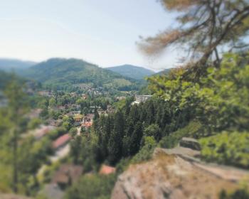 Abb. Tagen im Schwarzwald: Wo Ideen Wurzeln schlagen