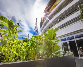 Abb. Grüne Gedankenwelten: Ideen pflanzen, Zukunft gestalten