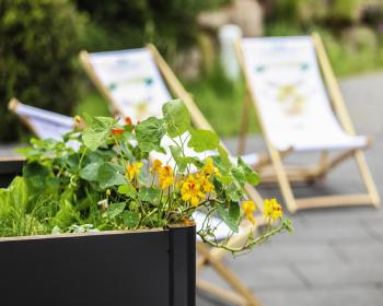 Abb. Wo Ideen wachsen: Ihr Tagungserlebnis im Grünen