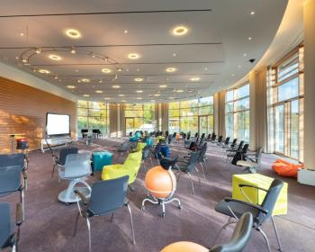 Abb. Gestalten, wo der Wald atmet