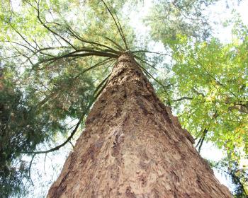 Abb. Starkes Team = Schlüssel zum Erfolg