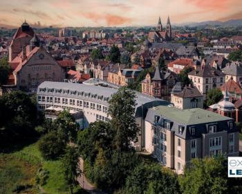Abb. Tagen zwischen Weinbergen und Pfälzerwald