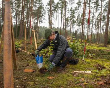 Abb. Nachhaltigkeit im Herzen der Natur