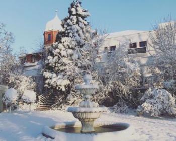 Abb. Weihnachtliches Flair auf dem Schillerhain