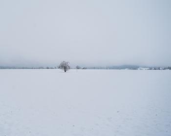 Abb. Schnee im Schwarzwald