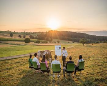 Abb. Tagen im Grünen: Wie die Natur Kreativität und Fok