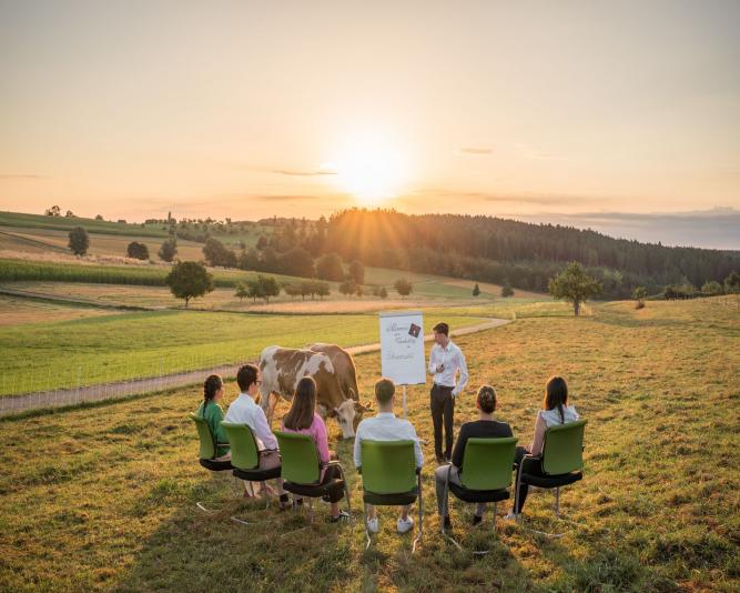 Beispielbild