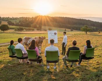 Abb. Teambuilding im Schwarzwald