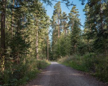 Abb. Green Locations – mehr als nur ein Trend