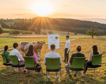 Abb. Urlaubsort Schwarzwald