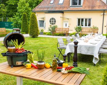 Abb. Teamgeist zwischen Wald und Weitblick