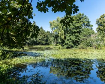 Abb. Tagen am zauberhaften Kloster-Mühlen-Teich