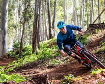 Abb. Per Skywalk, Hochseilgarten und Bikeparcour zum idealen Team-Event