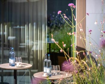 Abb. Tagen am Bodensee