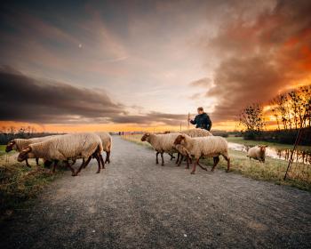 Abb. Unser Herzensprojekt MARIENHOF