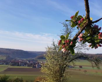 Abb. Tagen im Herzen des Meteorkraters