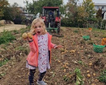 Abb. Gemeinsam arbeiten – wachsen – Zukunft gestalten