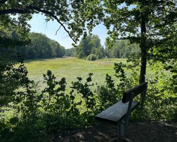 Abb. Tagen zwischen Stadt und Natur