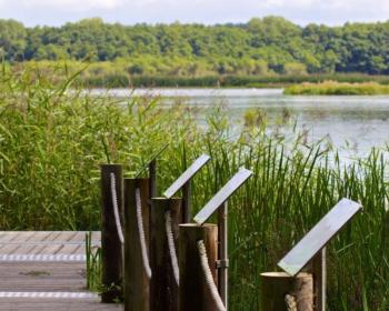 Abb. Naturnah tagen in Braunschweig 