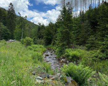 Abb. Tagen, wo andere Urlaub machen