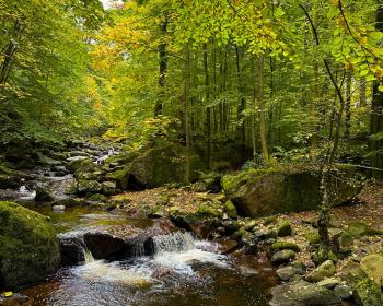 Abb. Wo Tagen, Wandern und Wellness Hand in Hand gehen