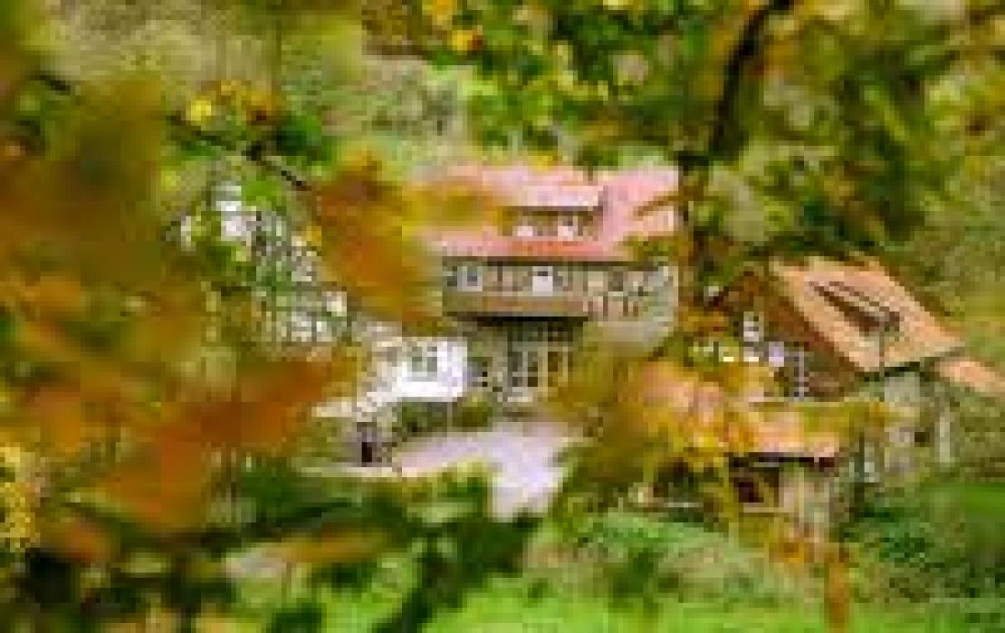Beispielbild